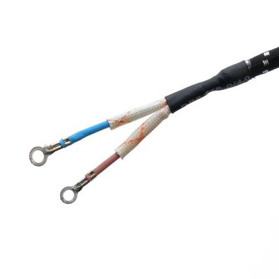 Cordon d'extension de câble d'alimentation commercial VDE/SNI/KC 2 broche à broches rondes pour fer électrique au marché du Moyen-Orient à Dubaï