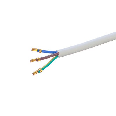 Personnalisation Brésil 10A/250V 3 broches 3x0.75MM2 PS4 câble d'alimentation pour lampe à sel certifié par DIN VDE 0620/EN 50075 1990